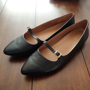 Vionic  Delilah pointed flat
